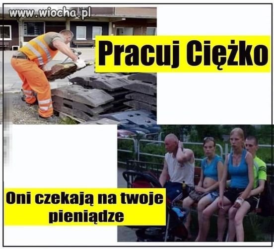 Tak to właśnie ukształtował pis