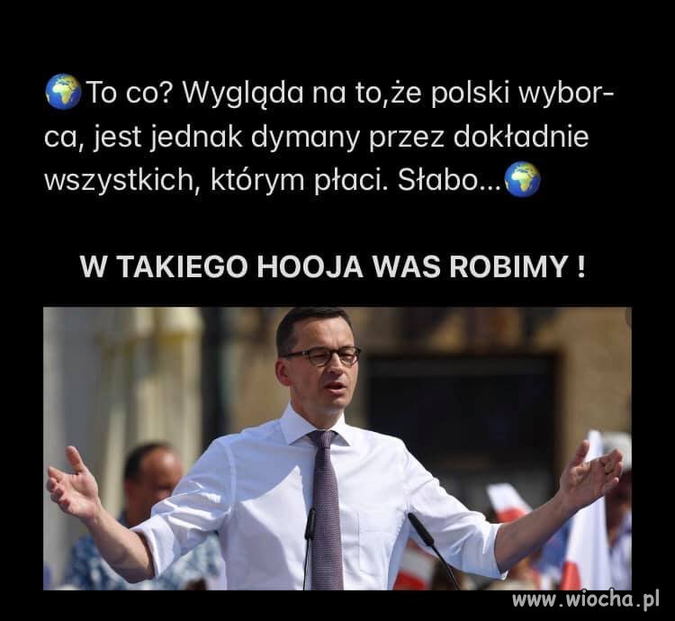  Wyborco ! 