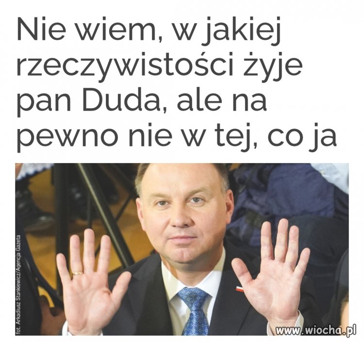 Zdecydowanie 