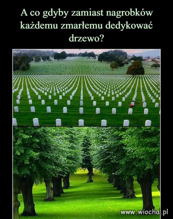 Dla mnie to całkiem niezły pomysł: