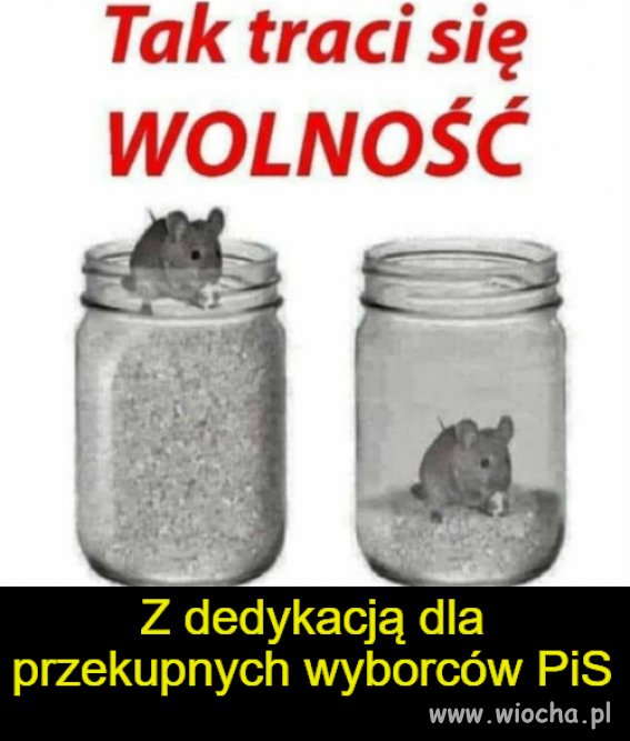 Przekaz dla pazernego elektoratu PiS