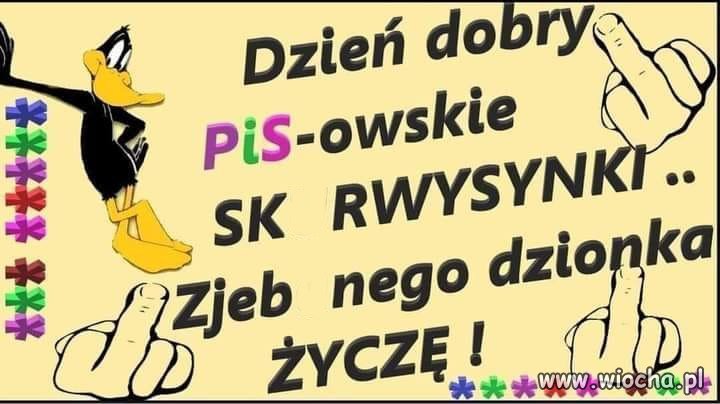Miłego dnia