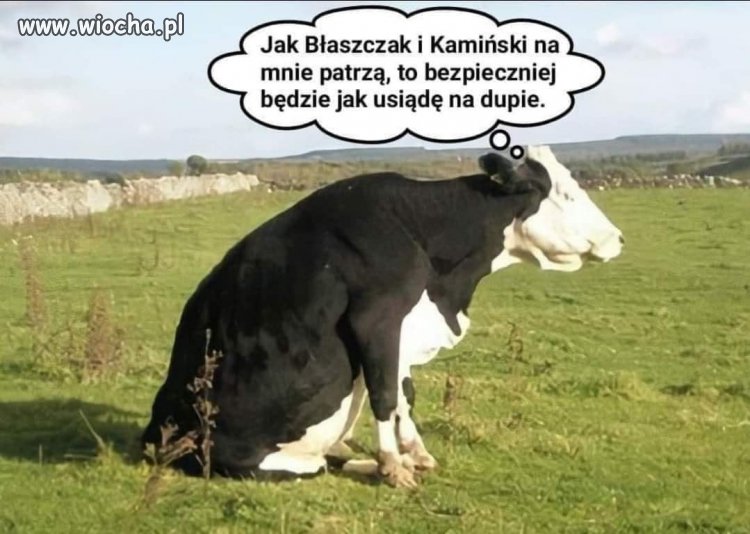 Jestem za 
