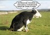 Jestem za 
