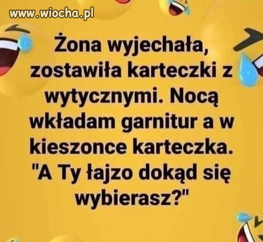Mistrzyni