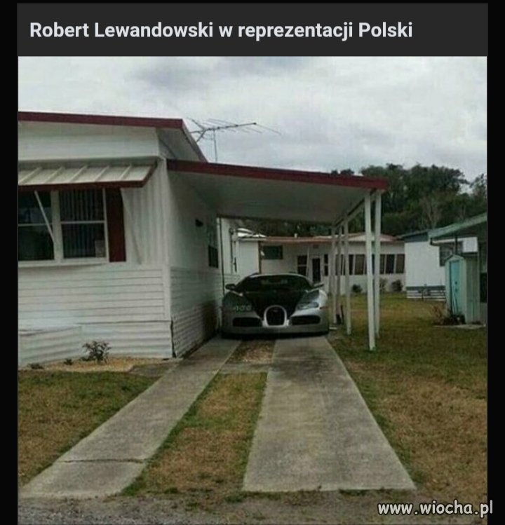 Lewy