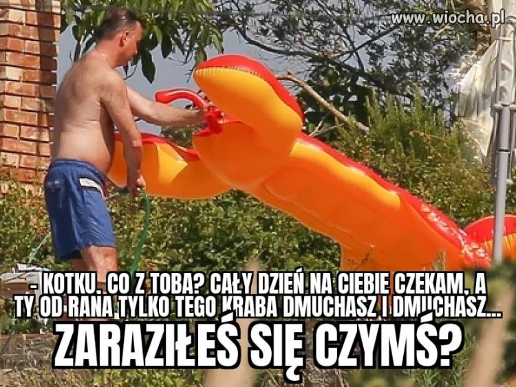 Zaraza