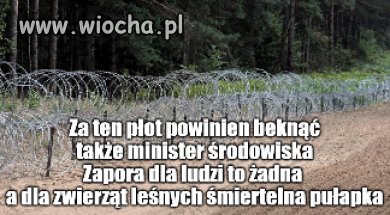 To są wnyki a nie płot graniczny 