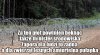 To są wnyki a nie płot graniczny 