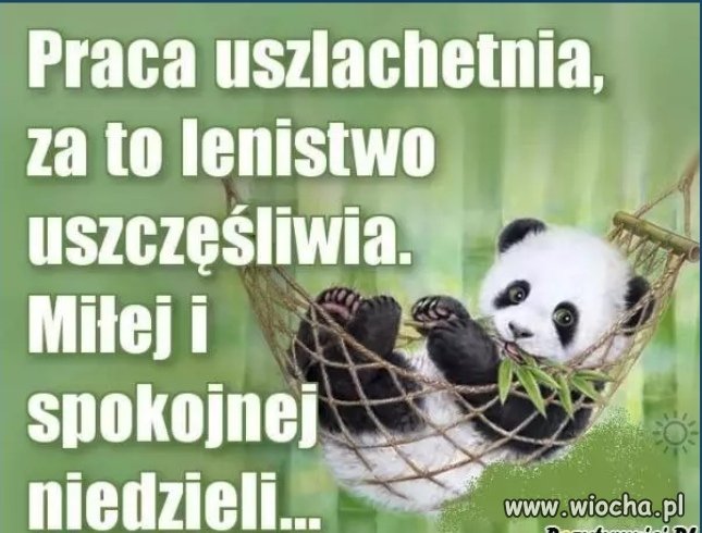 Z pozdrowieniami 