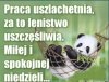 Z pozdrowieniami 
