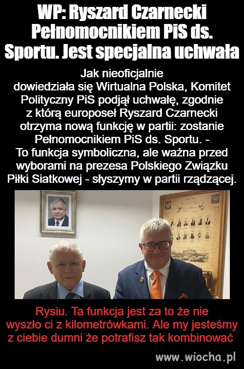 Rysiu doceniony za wyłudzenia 