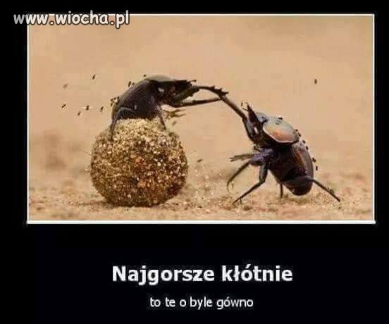 Najgorsze kłótnie