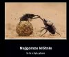 Najgorsze kłótnie