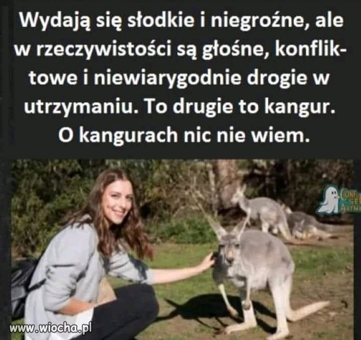 Czyż nie prawda?