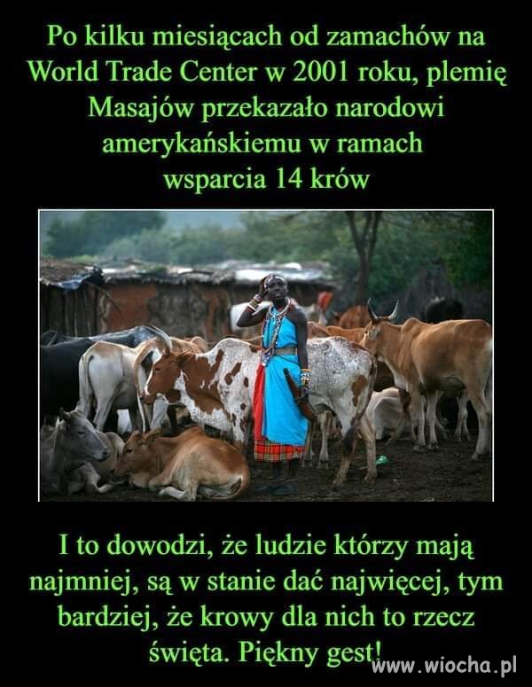 Wzruszający gest