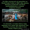 Wzruszający gest