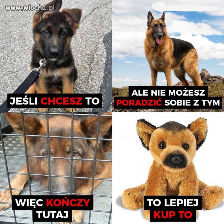 Jestem za 