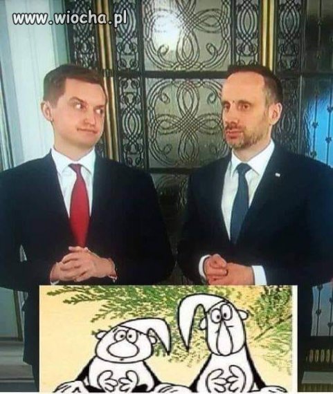 Duecik