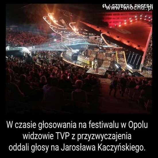 Efekt kompletnego wyprania mózgu