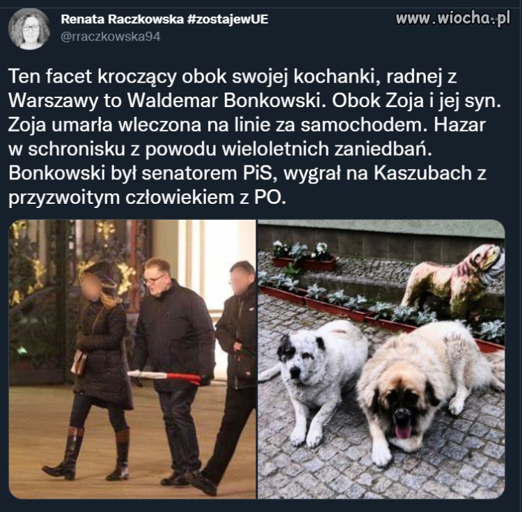 Wygrał na Kaszubach z przyzwoitym człowiekiem 