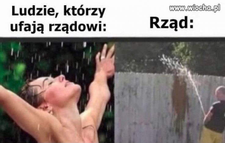 Rząd
