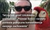 Tarczyński, europoseł PiS postanowił o sobie przypomnieć. 