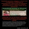 Odpowiadając na pytanie: nie, nie poniesie konsekwencji.