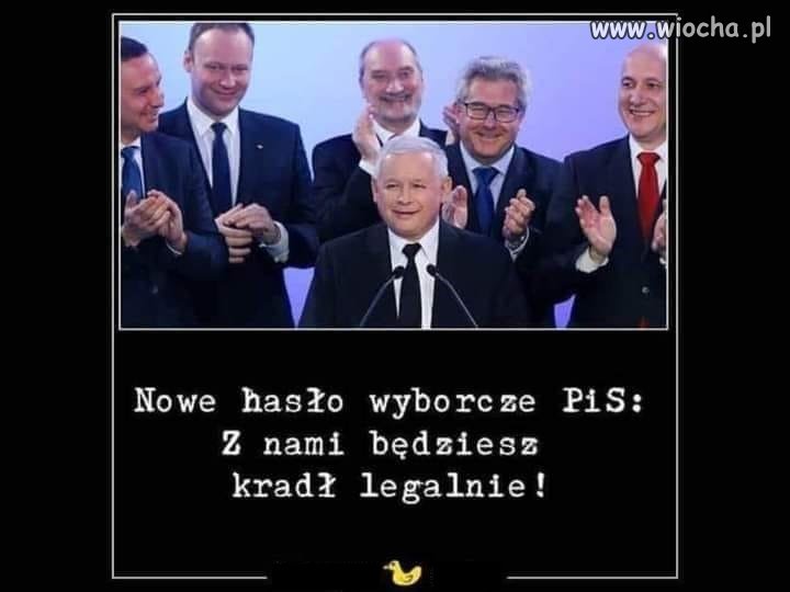Liczą na to, że patola ich poprze ...