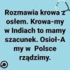 Taka prawda... 