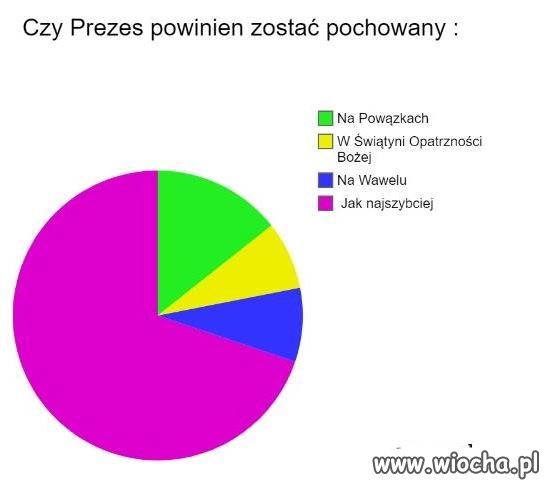 Madżenta.