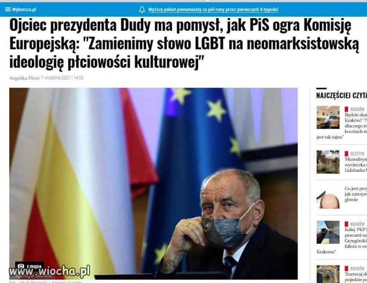 Niezły 