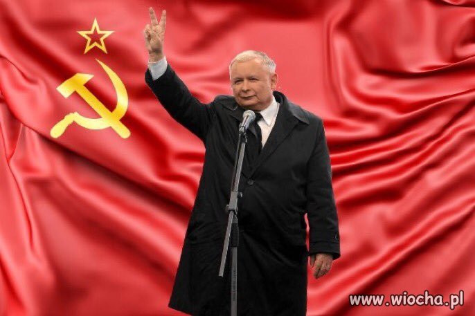 Polski polityk na prawdziwym tle.