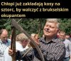 Brukselski okupant