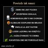 Zacznijcie tego uczyc zacofanych Polakow PiSu!