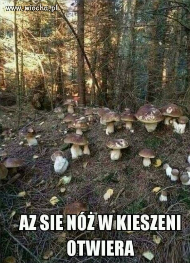 Na czasie