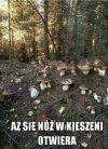 Na czasie