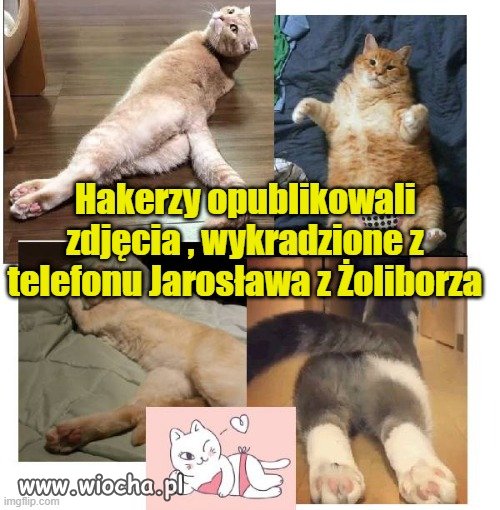 Metoda Kamińskiego