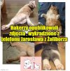 Metoda Kamińskiego