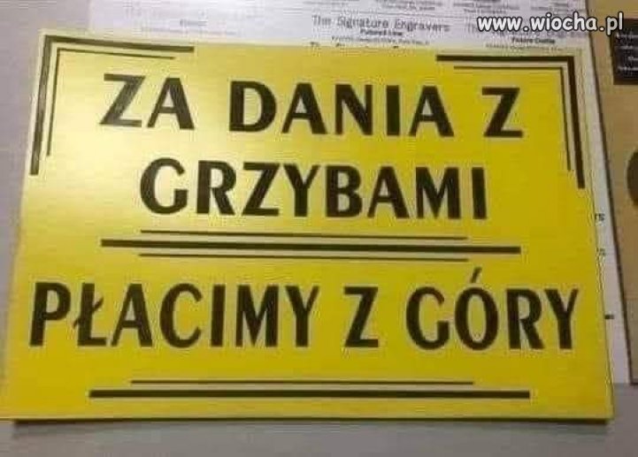 Wszystkiego grzyby są jadalne, ale niektóre tylko raz.