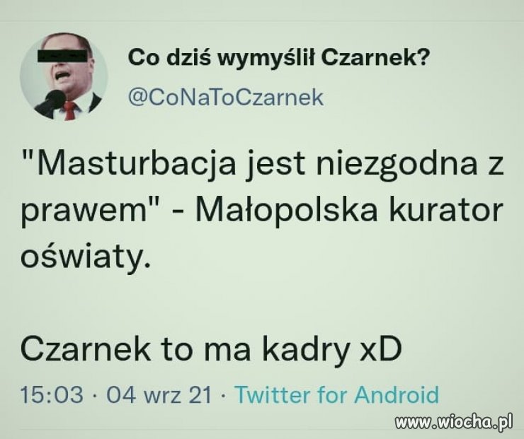 Kuratorka cnotliwa jak Krysia 