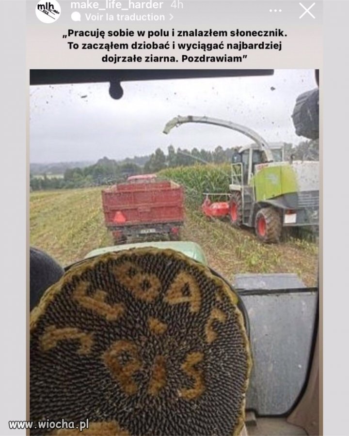 Rolnicy powoli zaczynają rozumieć...