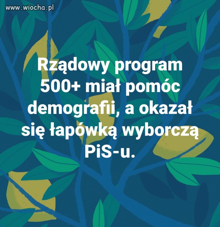 Typowa 