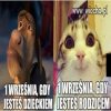 1 września be like...
