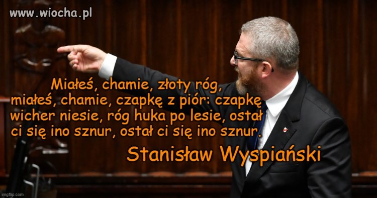 Poseł Braun cytował poetę Wyspiańskiego