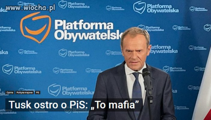 Właściwie tylko jedno słowo ciśnie się na usta – mafia. 