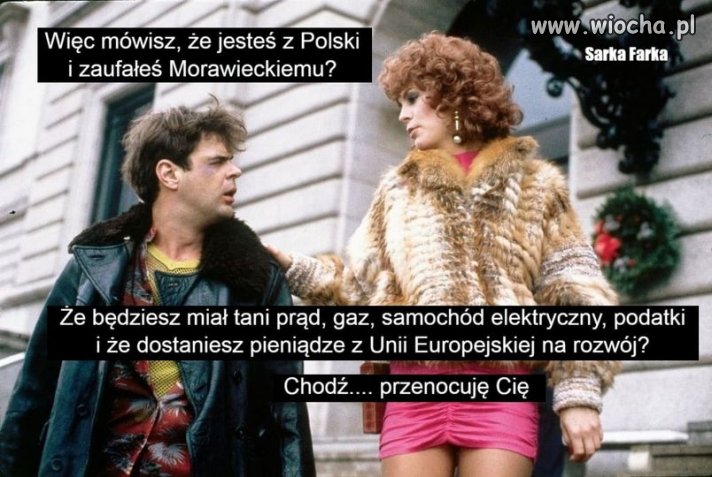 Przeddsiębiorcy po nowym ładzie morafieckiego