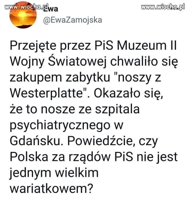 Mistrz 