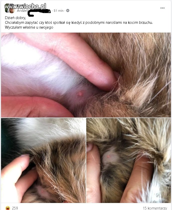 Niektórzy nie grzeszą inteligencją 