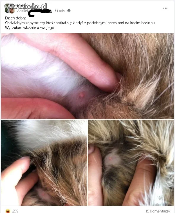Niektórzy nie grzeszą inteligencją 